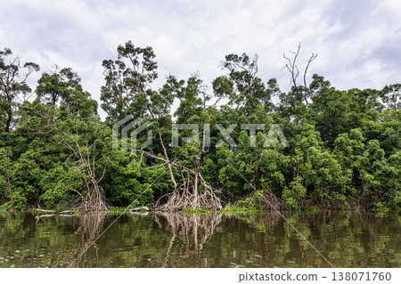 Boat trip on the Preguica River from Barreirinhas, Lencois Maranhenses to Atins, Maranhao, Brazil 138071760