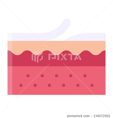 Human Skin Layer Structure 138072002