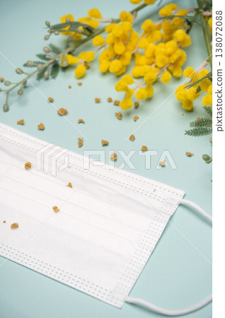 含羞草枝條和白色面具,代表花粉。 含羞草枝條和白色面具,代表花粉。 138072088