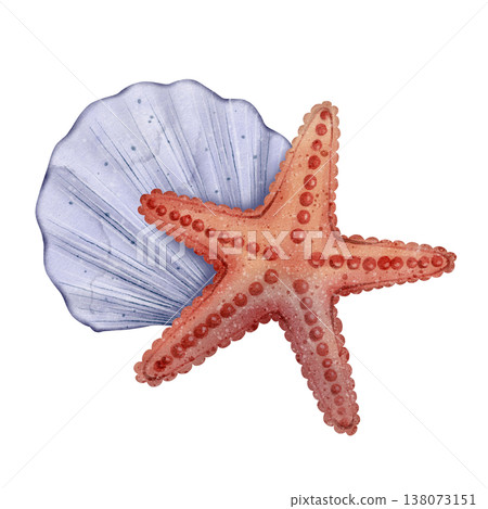 Starfish seashell watercolor illustration Starfish seashell watercolor illustration 138073151
