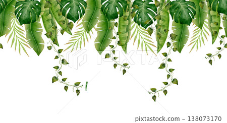 Tropical Hanging Leaves Seamless Border Tropical Hanging Leaves Seamless Border 138073170