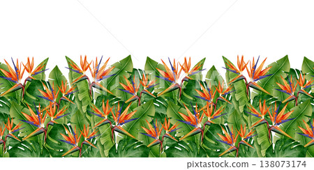 Bird of Paradise Tropical Seamless Border 138073174