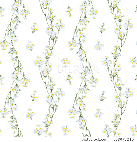 Daisy watercolor seamless pattern 138073210