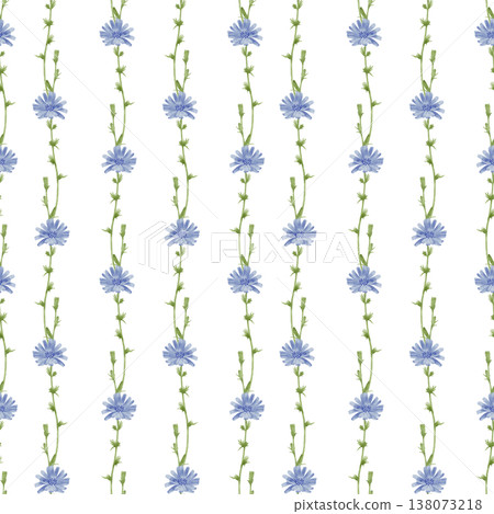 Chicory watercolor seamless pattern 138073218