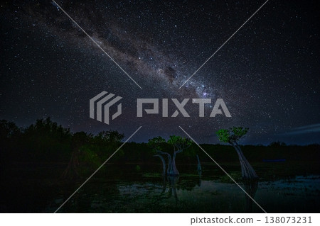 Mangrove tree and milky way 138073231