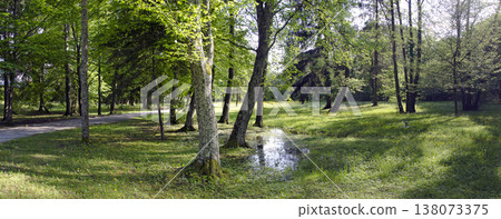 Panorama of an old spa park 138073375