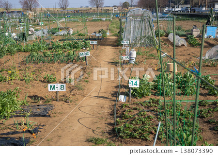Community garden, Kashiwa City, Chiba Prefecture Community garden, Kashiwa City, Chiba Prefecture 138073390
