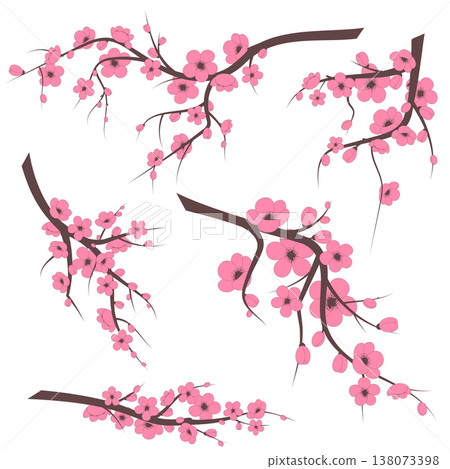 cherry blossom branch set cherry blossom branch set 138073398