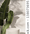Podium complemented by lush leaves and soft shadows. 3D render illustration 138073695