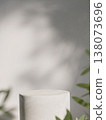 Podium with soft shadows and greenery elements. 3D render illustration 138073696