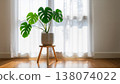 A Monstera plant by the window, dappled sunlight filtering through the curtains. 138074022