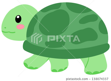 turtle turtle 138074337