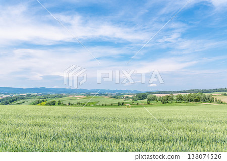 北海道的夏天：美瑛週邊美麗的夏日景色（圖）。 138074526