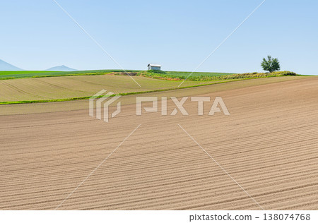 北海道的夏天：美瑛週邊廣闊的農田風光（圖） 138074768