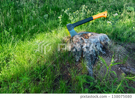 Hatchet stuck in a tree stump surrounded by tall grass. Forestry equipment and wood chopping tool. Rural landscape and outdoor labor concept for logging and survival wilderness work 138075080