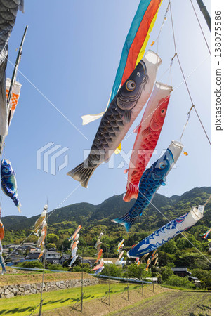 Numerous carp streamers swimming in the blue sky: A Children's Day scene. Numerous carp streamers swimming in the blue sky: A Children's Day scene. 138075586