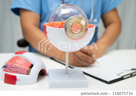 Asian doctor with eye human anatomy model. 138075710