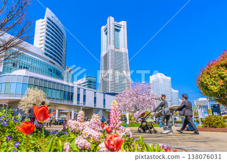 Yokohama cityscape, Japan, March 24th. View of Sakuragicho Station (Air Cabin), Yokohama Landmark Tower, cherry blossoms in full bloom, and other flowers. Yokohama cityscape, Japan, March 24th. View of Sakuragicho Station (Air Cabin), Yokohama Landmark Tower, cherry blossoms in full bloom, and other flowers. 138076031