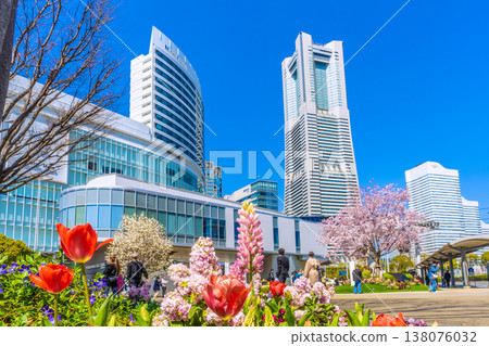 Yokohama cityscape, Japan, March 24th. View of Sakuragicho Station (Air Cabin), Yokohama Landmark Tower, cherry blossoms in full bloom, and other flowers. Yokohama cityscape, Japan, March 24th. View of Sakuragicho Station (Air Cabin), Yokohama Landmark Tower, cherry blossoms in full bloom, and other flowers. 138076032