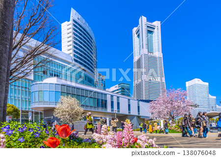 Yokohama cityscape, Japan, March 24th. View of Sakuragicho Station (Air Cabin), Yokohama Landmark Tower, cherry blossoms in full bloom, and other flowers. Yokohama cityscape, Japan, March 24th. View of Sakuragicho Station (Air Cabin), Yokohama Landmark Tower, cherry blossoms in full bloom, and other flowers. 138076048