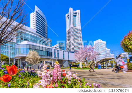 Yokohama cityscape, Japan, March 24th. View of Sakuragicho Station (Air Cabin), Yokohama Landmark Tower, cherry blossoms in full bloom, and other flowers. Yokohama cityscape, Japan, March 24th. View of Sakuragicho Station (Air Cabin), Yokohama Landmark Tower, cherry blossoms in full bloom, and other flowers. 138076074