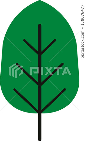 Green Oval Leaf Icon with Veins with Leaf Shape 138076477