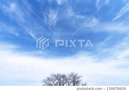 Blue sky, clouds and grove Blue sky, clouds and grove 138076626