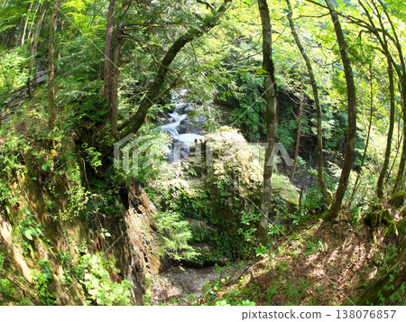 Small waterfall in the forest Small waterfall in the forest 138076857