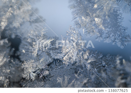 [Window Frost] Frost Flower [Ice Crystal Pattern] 138077625