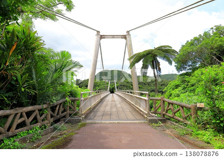 Okinawa, Ishigaki Island, Banna Park, Seishika Bridge 138078876