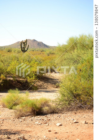 Winter San Tan Mountains Sonoran Desert Arizona Winter San Tan Mountains Sonoran Desert Arizona 138079847