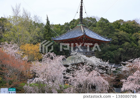 Cherry blossoms at Kumagai-ji Temple, Awa City, Tokushima Prefecture, April 2025 Cherry blossoms at Kumagai-ji Temple, Awa City, Tokushima Prefecture, April 2025 138080786