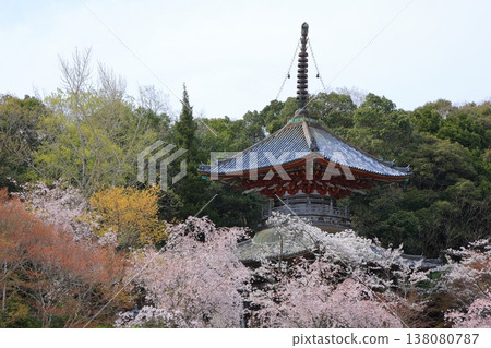 Cherry blossoms at Kumagai-ji Temple, Awa City, Tokushima Prefecture, April 2025 Cherry blossoms at Kumagai-ji Temple, Awa City, Tokushima Prefecture, April 2025 138080787