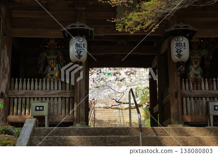 2025年4月,德島縣阿波市熊谷寺的櫻花盛開 2025年4月,德島縣阿波市熊谷寺的櫻花盛開 138080803