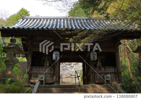 2025年4月，德島縣阿波市熊谷寺的櫻花盛開 138080807