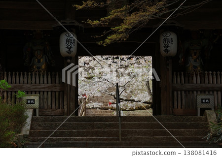 2025年4月,德島縣阿波市熊谷寺的櫻花盛開 2025年4月,德島縣阿波市熊谷寺的櫻花盛開 138081416