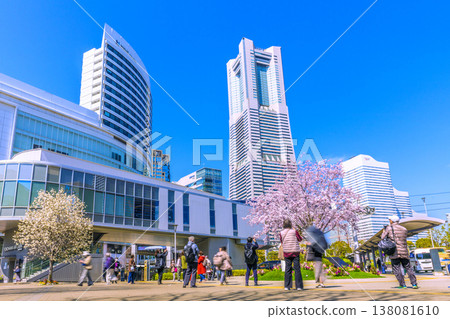 Yokohama cityscape, Japan, March 24th. View of Sakuragicho Station (Air Cabin), Yokohama Landmark Tower, cherry blossoms in full bloom, and other flowers. 138081610