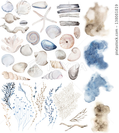 Hand drawn watercolor pastel clipart with seashells, coastal beach wedding isolated illustration 138081819