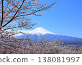 Yamanashi Prefecture, Arakurayama Sengen Shrine: Mount Fuji and cherry blossoms, Spring 2025 138081997