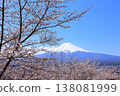 Yamanashi Prefecture, Arakurayama Sengen Shrine: Mount Fuji and cherry blossoms, Spring 2025 138081999