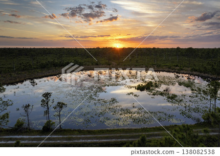 Sunset over forest lake water with floating lily pads in southern tropical wetlands. Amazing Florida nature Sunset over forest lake water with floating lily pads in southern tropical wetlands. Amazing Florida nature 138082538