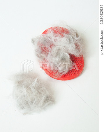Cat shedding fur, seasonal fur loss or health problems of pets, vitamin deficiency or dehydration. Cat shedding fur, seasonal fur loss or health problems of pets, vitamin deficiency or dehydration. 138082925