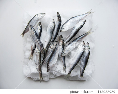 Frozen seafood anchovies and herring fish sprat on brick of ice and snow, shoaling fish on ice. 138082929
