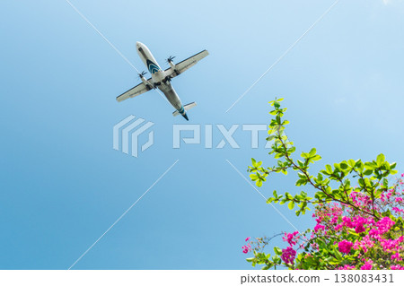 Airplane flying low over tropical landscape with flowers and clear blue sky in Koh Samui Thailand 138083431