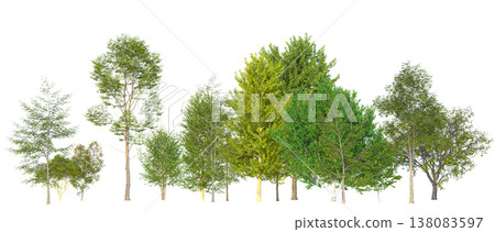 Diverse trees with green foliage 3d isolated background Diverse trees with green foliage 3d isolated background 138083597