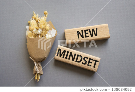 Mindset symbol. Wooden blocks with words New Mindset. Beautiful grey background. Business and New Mindset concept. Copy space. Mindset symbol. Wooden blocks with words New Mindset. Beautiful grey background. Business and New Mindset concept. Copy space. 138084092