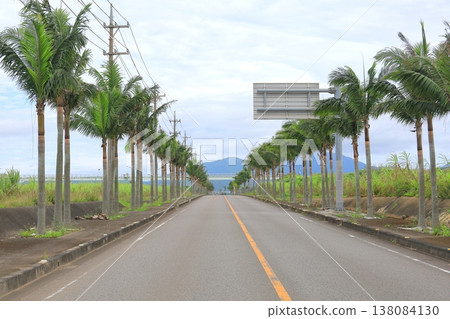 沖繩縣石垣島街道兩旁棕櫚樹成蔭 沖繩縣石垣島街道兩旁棕櫚樹成蔭 138084130