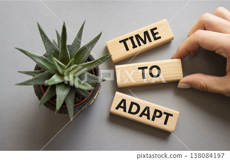 Time to Adapt. Wooden blocks with words Time to Adapt. Beautiful grey background. Businessman hand. Business and Manage and Time to Adapt concept. Copy space. 138084197
