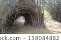 A picture of natural tunnel in forest 138084882
