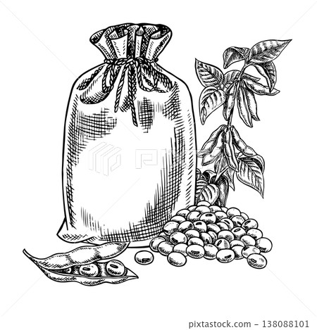 Soybeans in jute bags and a soy stem with leaves and pods. Black and white vector graphic illustration. Isolate. Perfect for creating product labels, posters, banners, menus, and more. 138088101